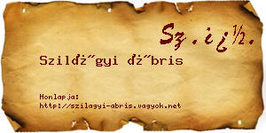 Szilágyi Ábris névjegykártya